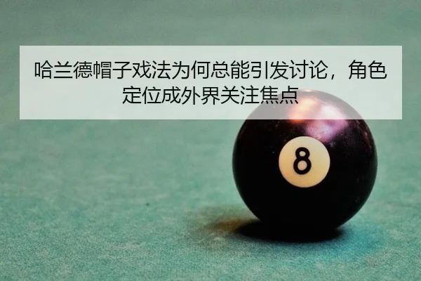 ha-lan-de-mao-zi-xi-fa-wei-he-zong-neng-yin-fa-tao-lun-jue-se-ding-wei-cheng-wai-jie-guan-zhu-jiao-dian-2-739.jpg